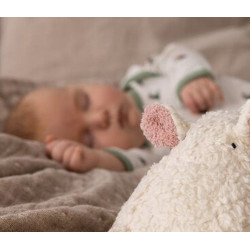 Eléphant peluche en laine vierge et coton bio 