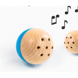 Balle musical "Baelly" 