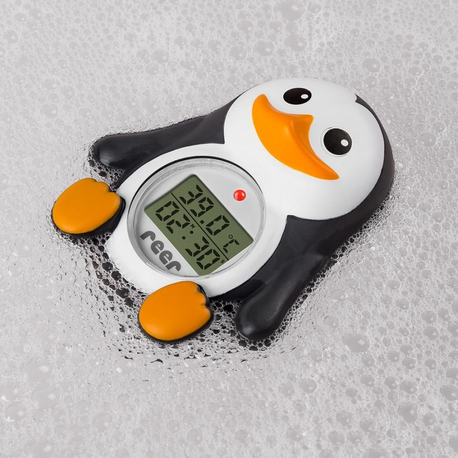 Thermomètre numérique 2 en...