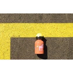 Gourde orange "Shetty" 300 ml 