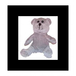 Mon petit ours gris 'Pluchon'  Mon petit ours gris 'Pluchon'