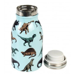 Gourde 250 ml "Prehistoric Land" 