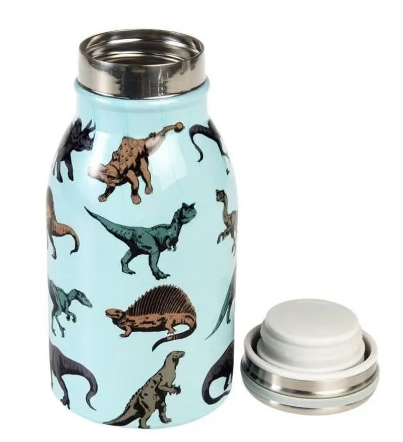 Gourde 250 ml "Prehistoric...