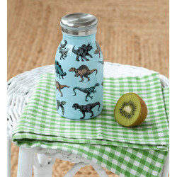 Gourde 250 ml "Prehistoric Land" 