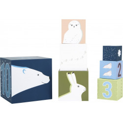 10 cubes gigognes à empiler "Arctique" 