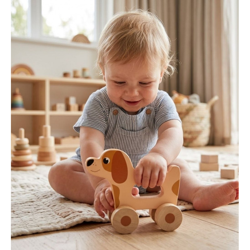 Chien en bois à pousser