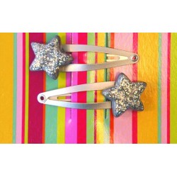 Paire de barrettes 'Silver Star' 