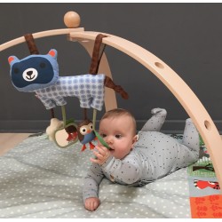 Portique d'activités Baby Gym