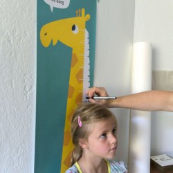 Toise "girafe"