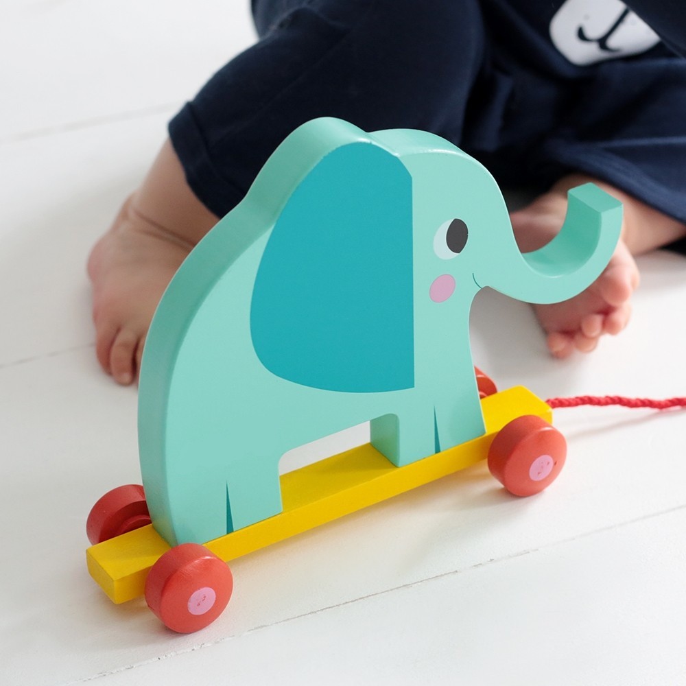 Friendly Toys : Jouet en bois à pousser Canard Bleu - 100% Green