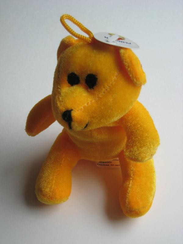 Mon petit ours orange...