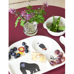 Coffret repas 5 pièces Safari 