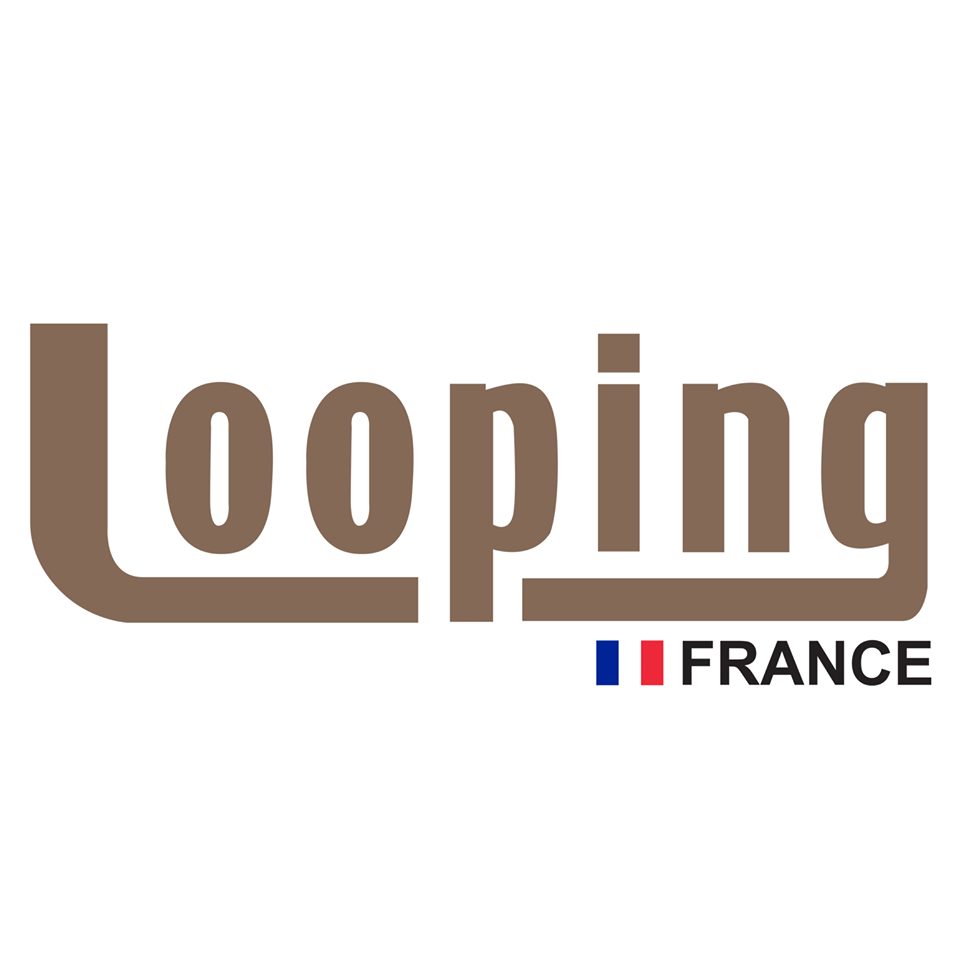 Logo Looping