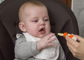 La Première vaisselle de bébé