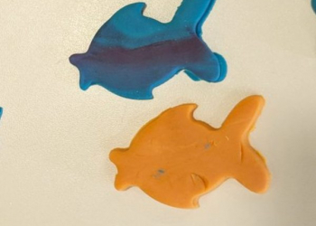 Poissons et pêche à la ligne